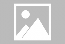 穿越动漫,动漫世界大冒险